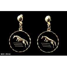 Brinco Cavalo Horse Jump